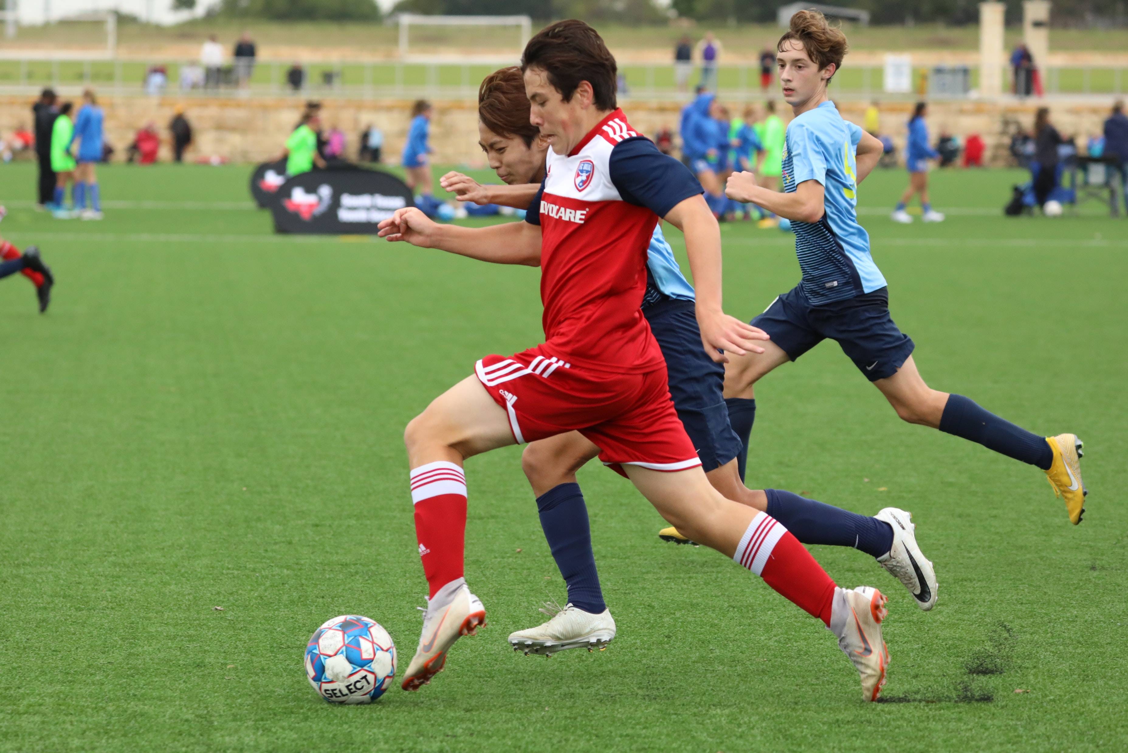 尤其是非洲 尤其是非洲