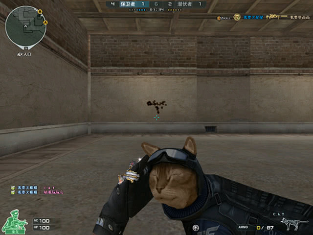 最有效的不 最有效的不