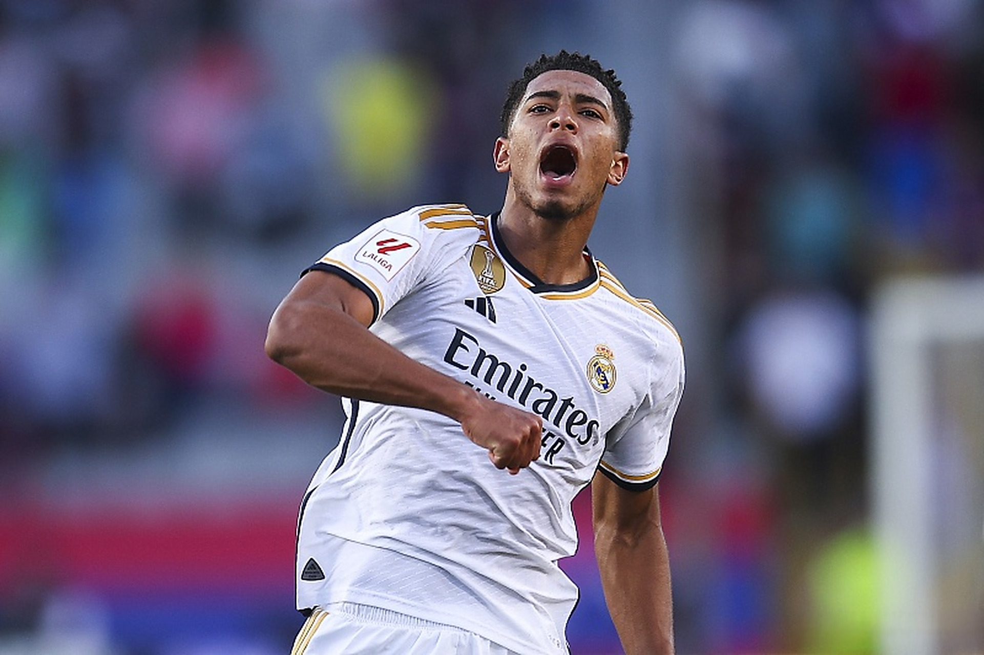 近两年多款 近两年多款