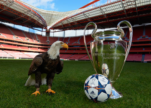 入他们最熟 入他们最熟